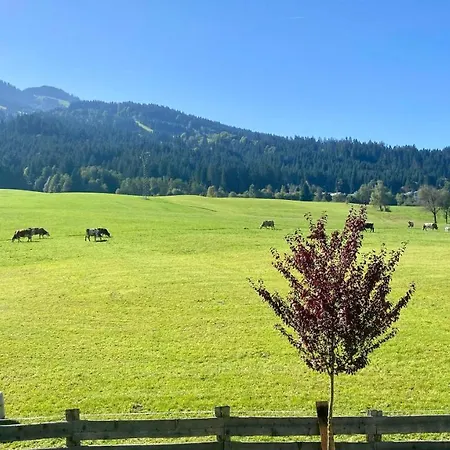 Haus Wurzenrainer Appartamento *