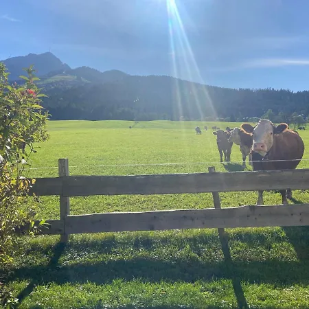 Haus Wurzenrainer * Sankt Johann in Tirol