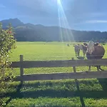Haus Wurzenrainer * Sankt Johann in Tirol